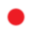Dārzu projektēšana