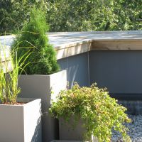 Projekts Skygarden Jūrmalā