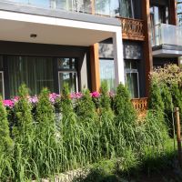 Projekts Skygarden Jūrmalā