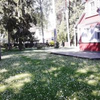 Privātmāja Lielupē
