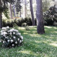 Privātmāja Lielupē